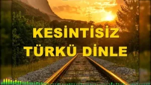 Karışık Seçme Türküler 40 Adet Müzik Albüm Kapağı