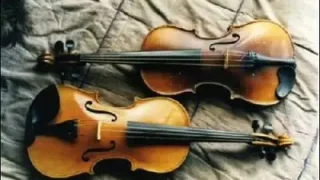 Keman Zil Sesi