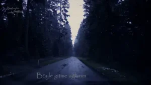 Kendimden Halliç Böyle Gitme Albüm Kapağı