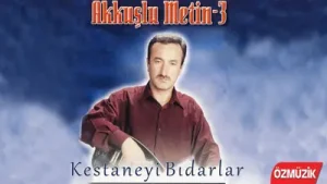 Kestaneyi Bidarlar Albüm Kapağı