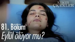 Kırgın Çiçekler Eylül Üzüntü Albüm Kapağı
