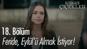 Kırgın Çiçekler Feride Toprak Albüm Kapağı