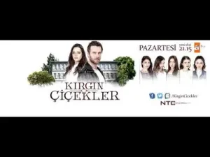 Kırgın Çiçekler İçimdeki Sızı Albüm Kapağı