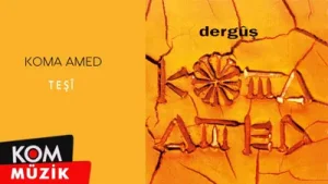 Koma Amed – Tesi Albüm Kapağı