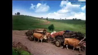 Köyümü Özledim Gardaş Murat İnce