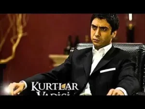 Kurtlar Vadisi İstanbul Mix Albüm Kapağı