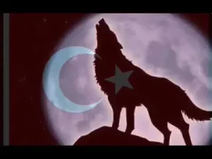 Kurtlar Vadisi Zil Sesi Albüm Kapağı