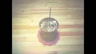 Kutup Ayısı ve Penguen – Demişti Annem Aslında