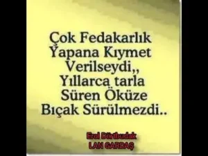 Lan Gardaş Nedir Bu Çektiklerimiz Erol Dortbudak Albüm Kapağı