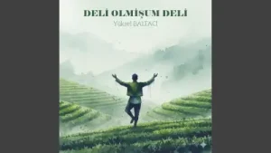 Laz Müzikleri Albüm Kapağı