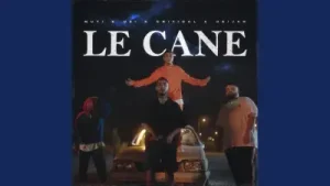 Le Cane Albüm Kapağı