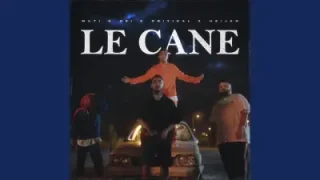 Le Cane