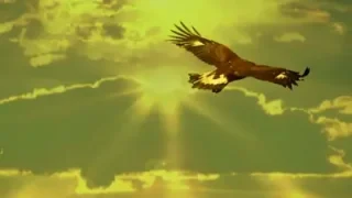 Leo Rojas El Condor Pasa Matsuri