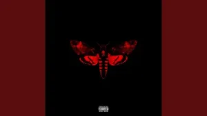 Lil Wayne Lay It Down Feat. Nicki Minaj Albüm Kapağı