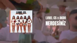 Lvbel C5 Akdo Nerdesiniz Albüm Kapağı