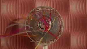 Mabel Matiz Fan