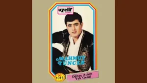 Mahmut Tuncer Aklımı Aldın Yarim Albüm Kapağı