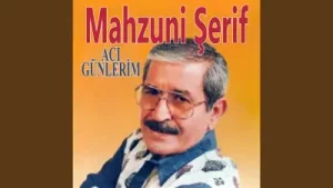 Mahzuni Şerif Al Birini Vur Birine Albüm Kapağı