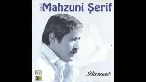 Mahzuni Şerif Dönme Dolap