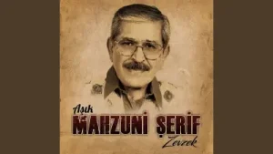 Mahzuni Şerif Gözlerin Albüm Kapağı