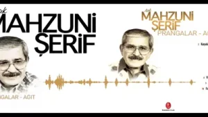 Mahzuni Şerif Vardım Gittim Albüm Kapağı