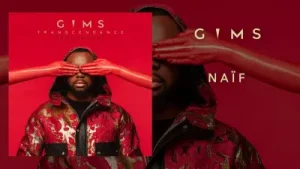 Maitre Gims Na Na Na Albüm Kapağı