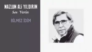 Mazlum Ali Yıldırım Bilmez İdim Albüm Kapağı