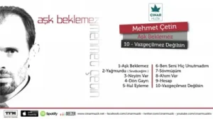 Mehmet Çetin Vazgeçilmez Değilsin Albüm Kapağı