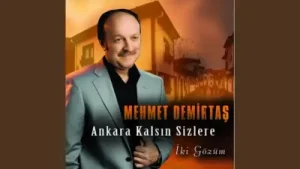 Mehmet Demirtaş İnmiş Pınarın Başına Albüm Kapağı