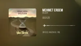 Mehmet Erdem Deliler