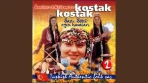 Mehmet Erenler Kostak Yürü Albüm Kapağı