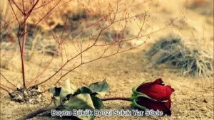 Mehmet Sümer Allı Turnam