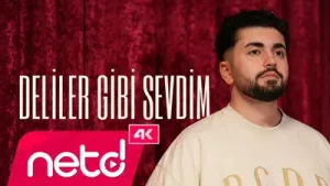Mehmet Yöndem Deliler Gibi Sevdim