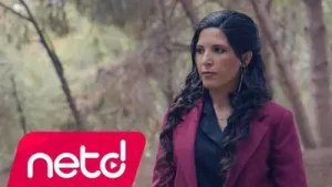 Melek Yüreğim Ağır Yaralı Albüm Kapağı