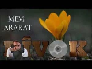 Mem Ararat P Vok Albüm Kapağı