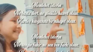 Memleket İsterim Fon Müziği Albüm Kapağı