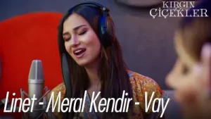 Meral Kendir Vay Albüm Kapağı