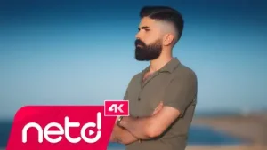 Mertcan Düzenli Yüreğim Üşüyor Albüm Kapağı