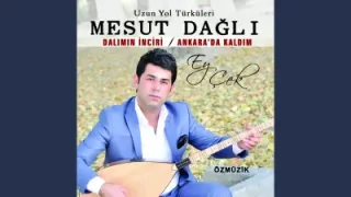 Mesut Dağlı Dalımın İnciri