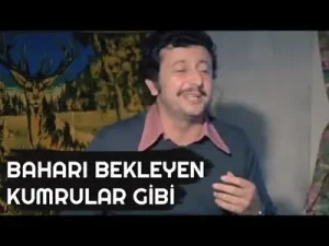 Metin Akpınar Baharı Bekleyen Kumrular Gibi Albüm Kapağı