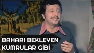 Metin Akpınar Baharı Bekleyen Kumrular Gibi