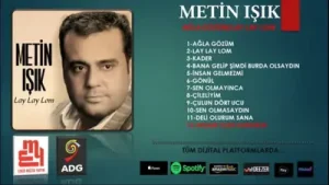Metin Işık Akşam Oldu Karanlık Albüm Kapağı