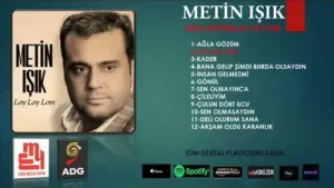 Metin Işık Melek Yüzlü Sahtekar Albüm Kapağı