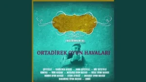 Metin Salliel Hicaz Oyun Havası Albüm Kapağı