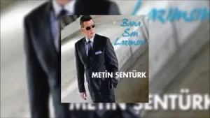 Metin Şentürk At Gitsin