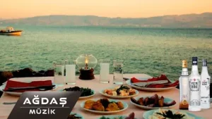 Meyhane Şarkıları Albüm Kapağı
