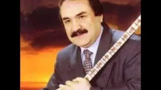 Meyvesiz Ağaç