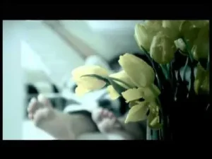 MFÖ – Sarı Laleler Albüm Kapağı