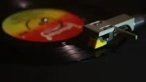 Mine Koşan Muhtacım Temiz Aşkına Albüm Kapağı