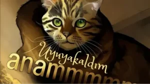 Miraç Uyuyakaldım Albüm Kapağı